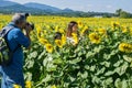 Photographer, Woman and Sunflowers